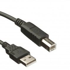 Oem - USB 2.0 A - B Printer Cable - Printer cables - 5009-CB