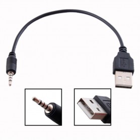 Oem - 2.5mm Audio Jack to USB Cable 25cm - USB to Audio cables - AL996