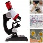 Oem - 100x-1200x Zoom Educational Microscope with LED Light - Magnifiers microscopes - AL832