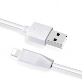HOCO - Hoco PremiumLightning to USB 2.0 2.1A Data Cable for Apple iPhone - iPhone data cables  - H60412-CB