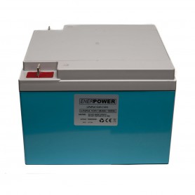 Enerpower - Enerpower 12V 25.6Ah - LiFePo4 (replacement of lead battery) - LiFePO4 battery - NK495