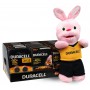 Duracell - Duracell Basic POWERPACK 80x AA +40x AAA + 14x CR2032 + FREE Rabbit mascot - Size AA - BL361