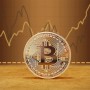 Oem, 3 pcs Bitcoin 25K Digital BTC BITCOIN coins cryptocurrency collectible coin 40x2.5mm, Various computer accessories, AL11...