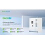 Dyness - Dyness DH200F unité tout-en-un 215 kWh , LiFePO4 - Batteries commerciaux - SL495